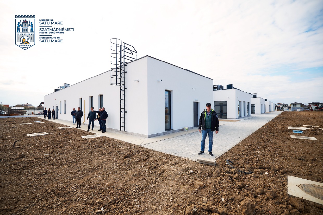 image-1774019104-8e7d254c