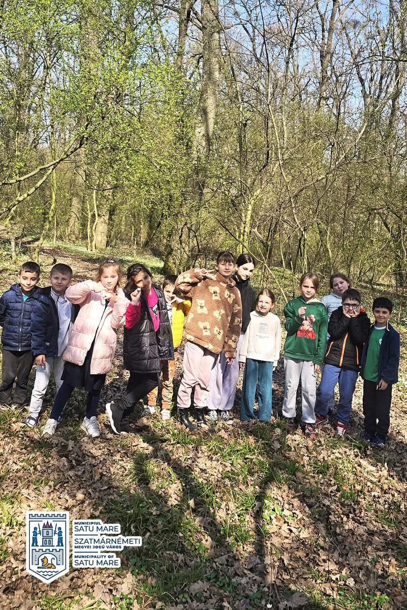 image-1774082783-f5506d36