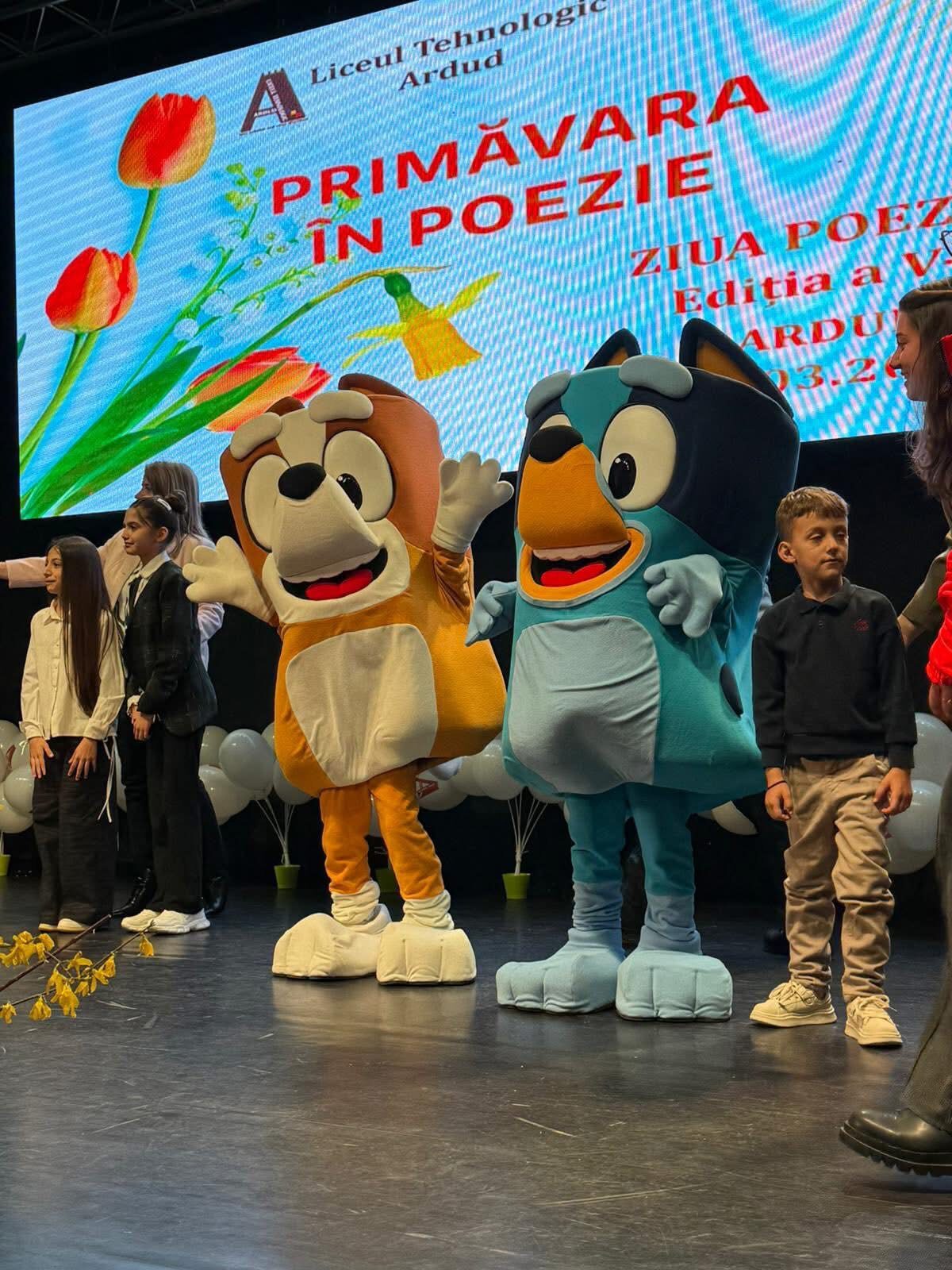 image-1774083505-08541ed0