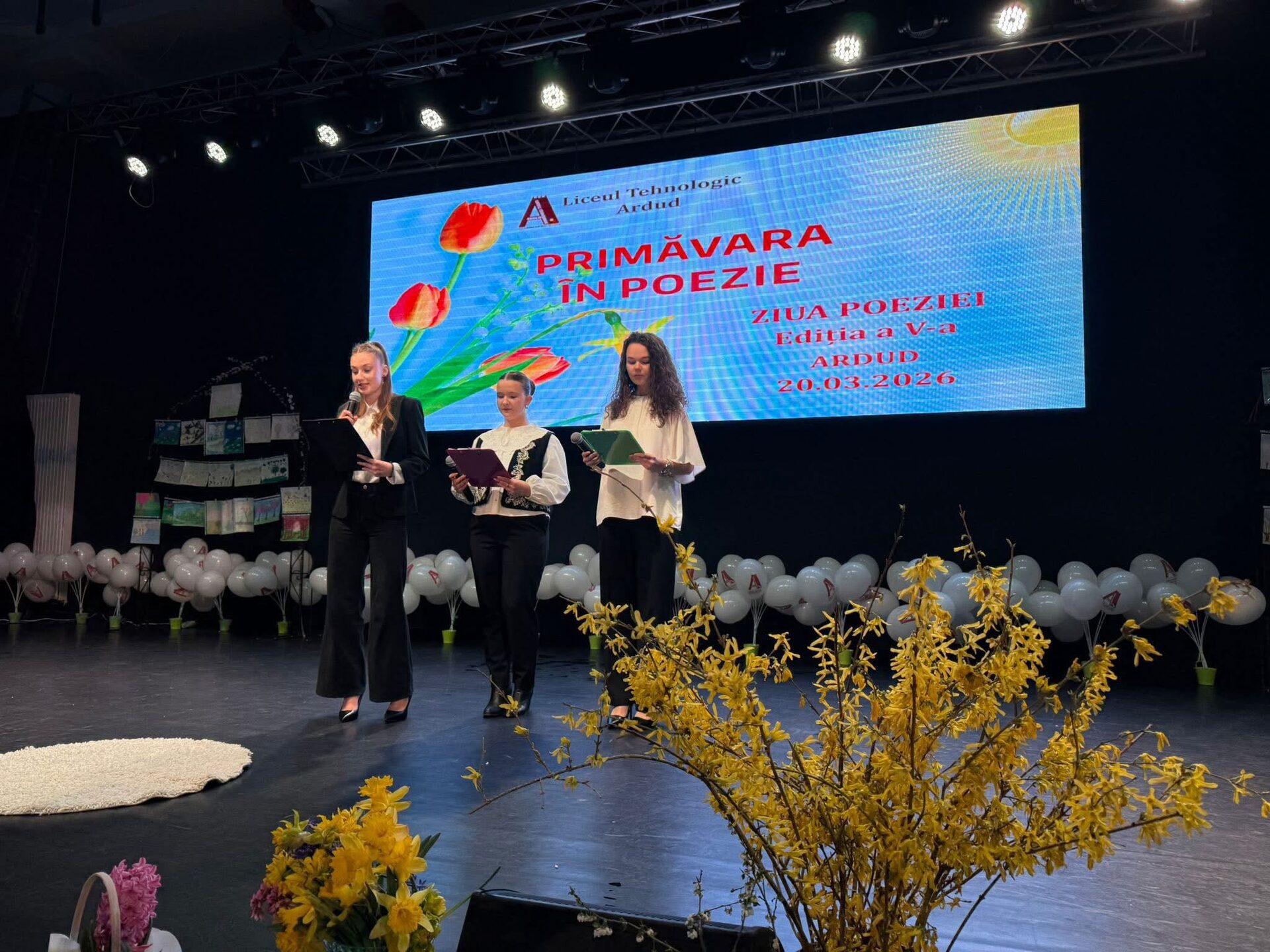 image-1774083572-50e81203