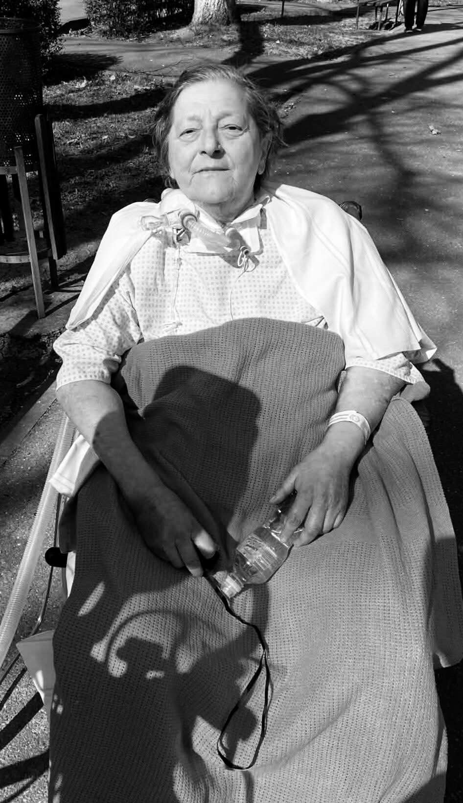 Doliu la Colegiul Economic „Gheorghe Dragoș” Satu Mare: a trecut la cele veșnice prof. Pfau Sălăgeanu Corina