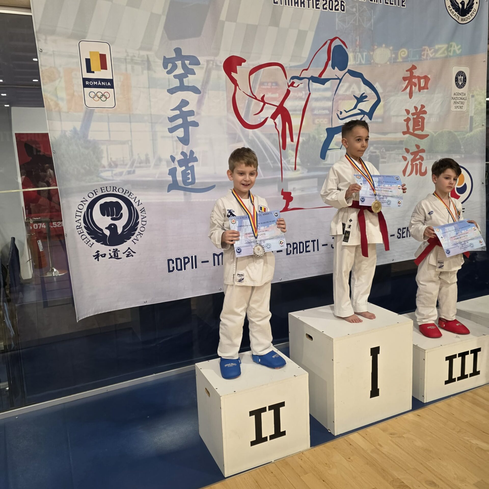 image-1774166938-bfaecf15