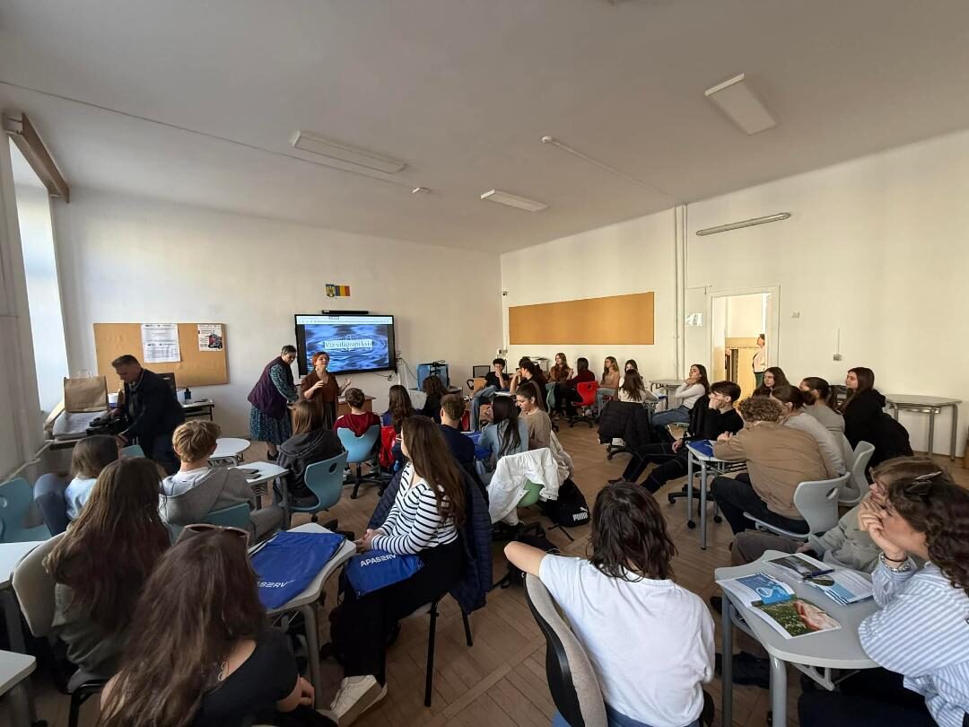 image-1774274513-d84bfa16