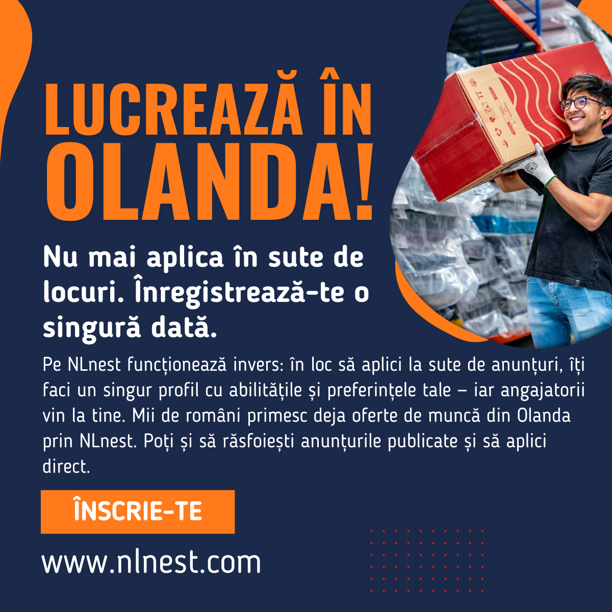 locuri de munca olanda