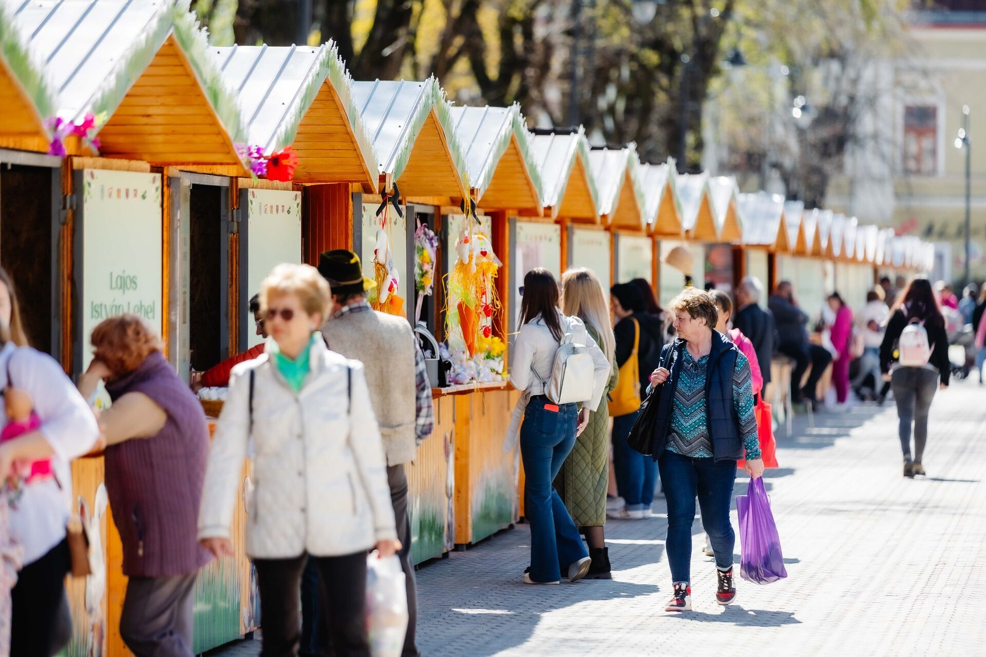 image-1774342520-131ac783