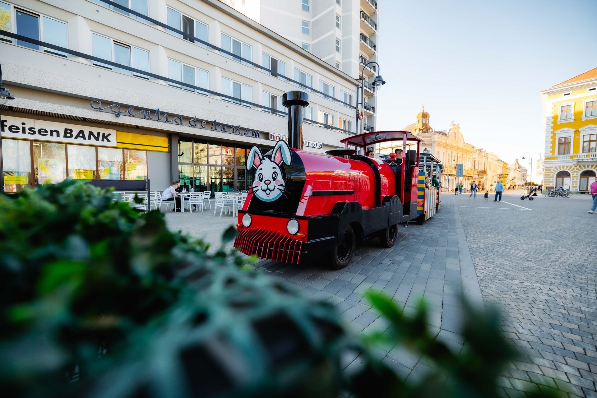 image-1774342535-19c8cba9