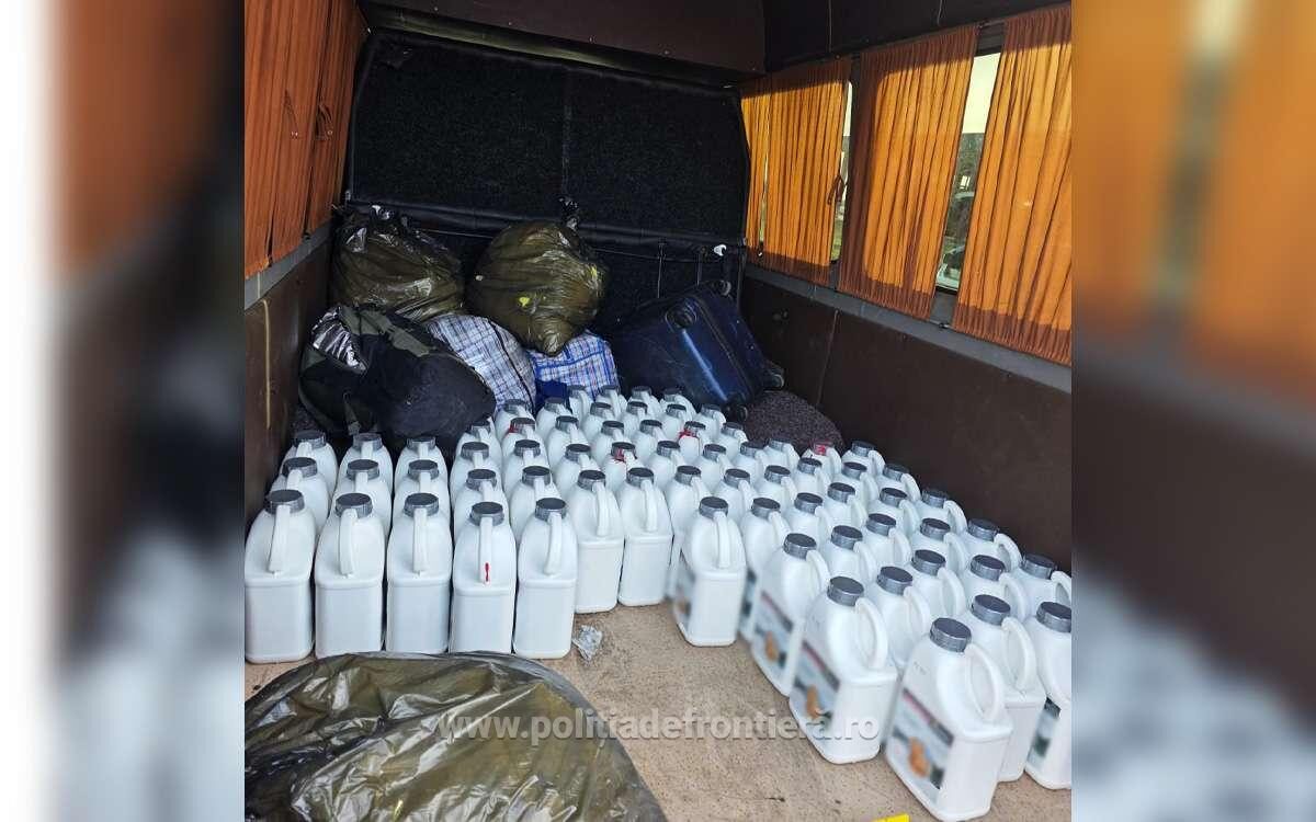 image-1774348694-2f78ece1