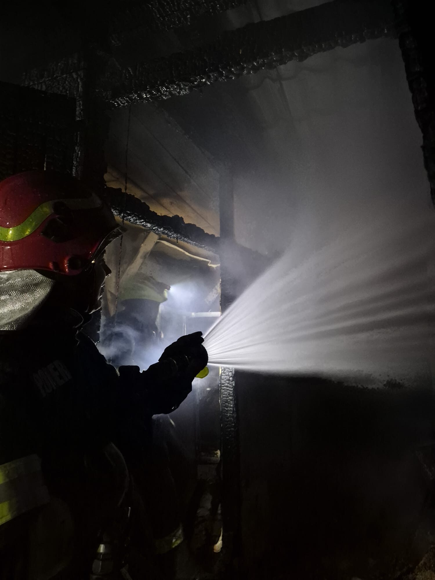 image-1774420695-3124dbee