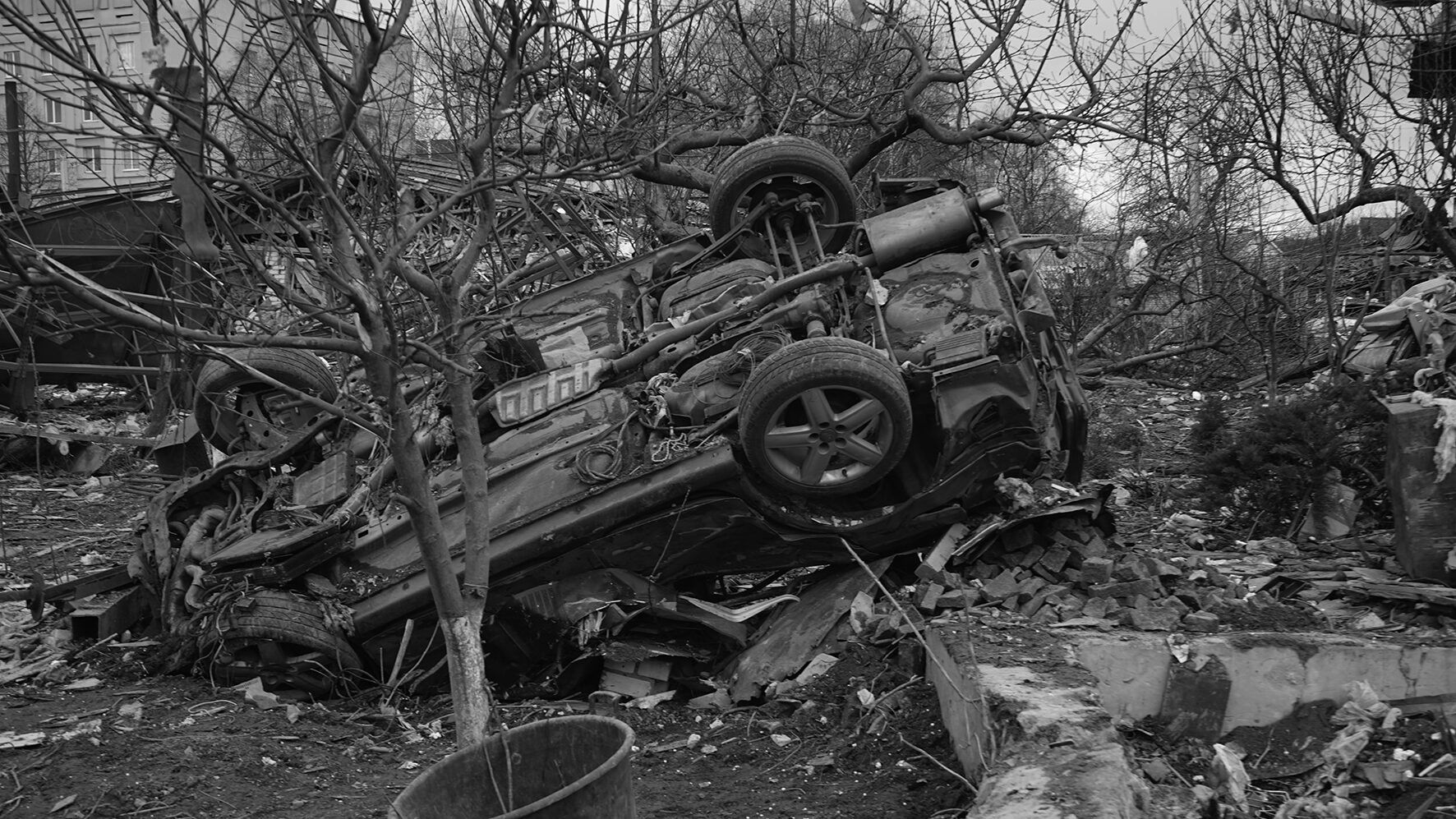 image-1774467532-eff4f588