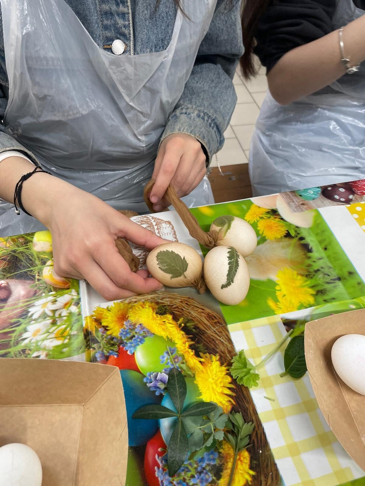 image-1774600201-129a1230