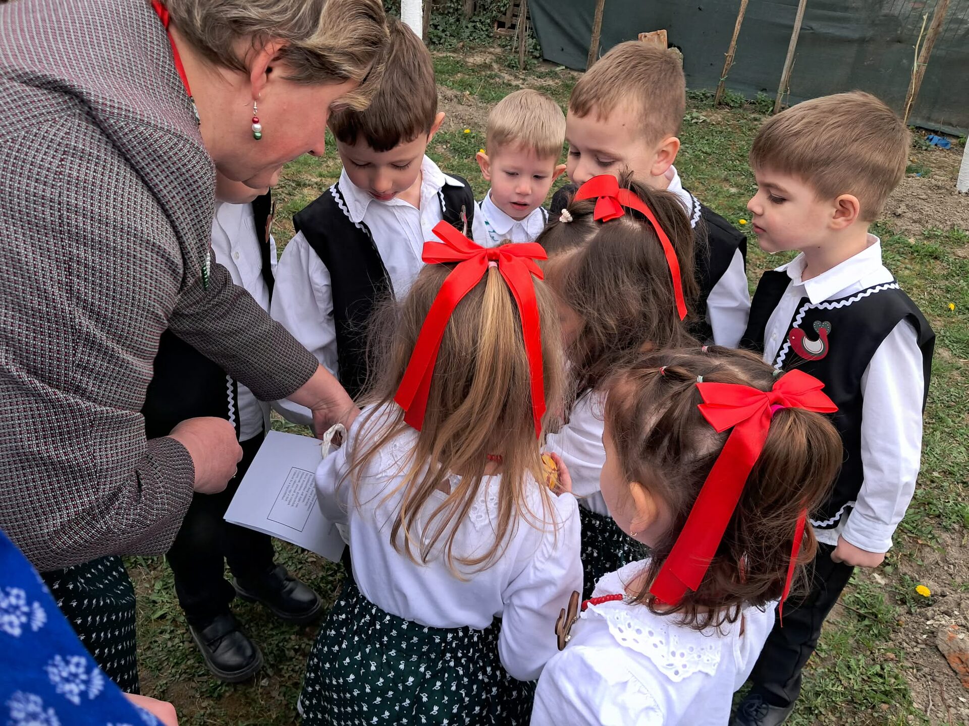 image-1774618347-55d5560e