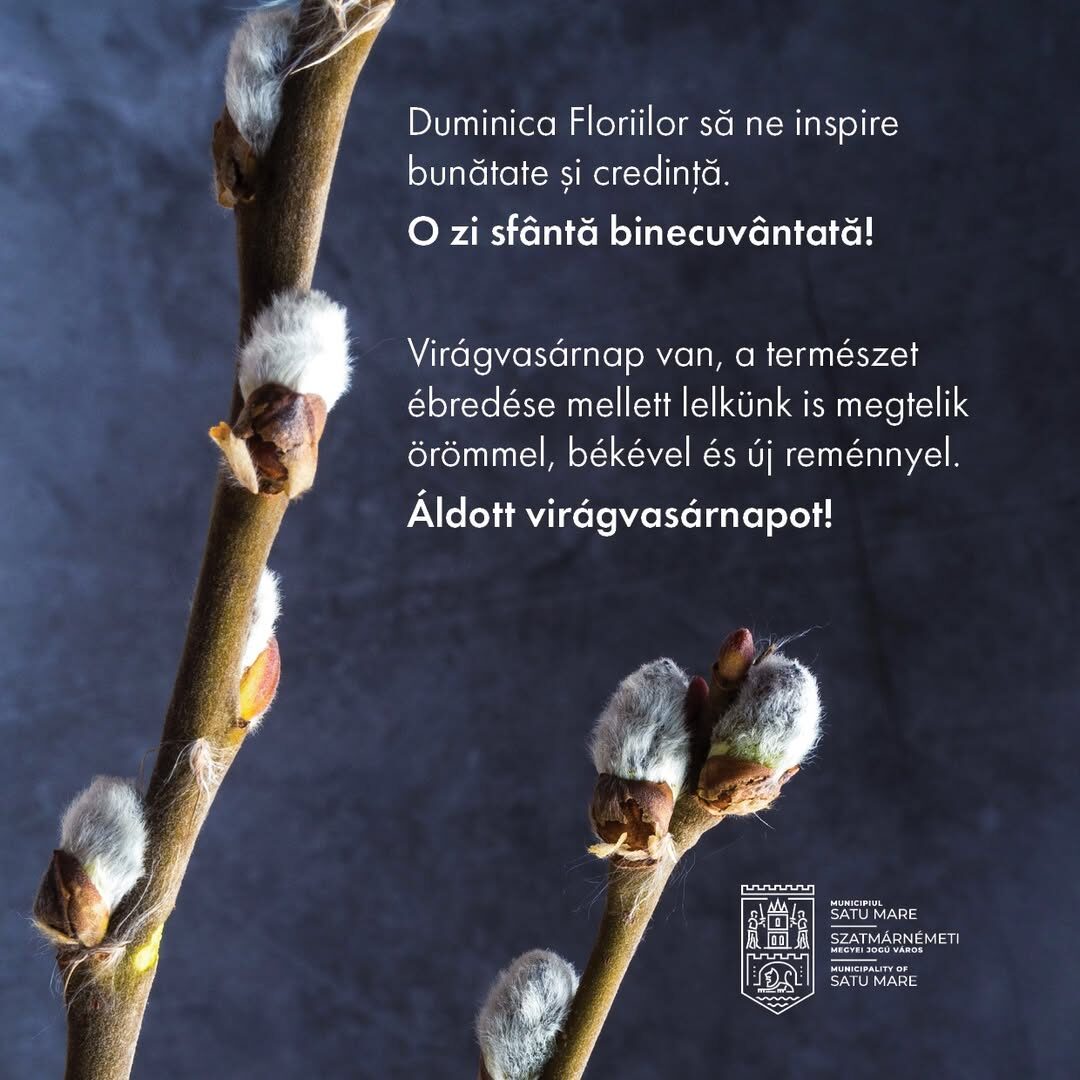 Mesaj de Florii transmis de Primăria Municipiului Satu Mare