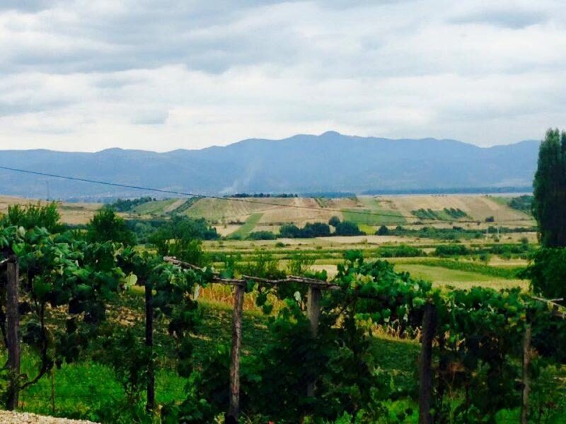 image-1774894100-bee385b4