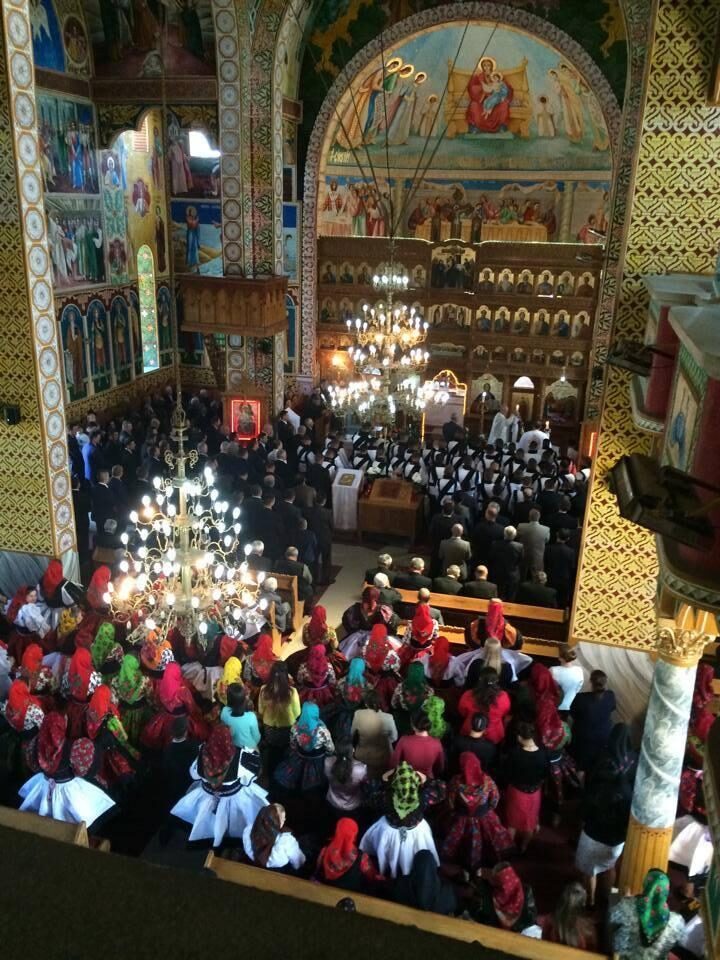 image-1774894178-3fd24bcc