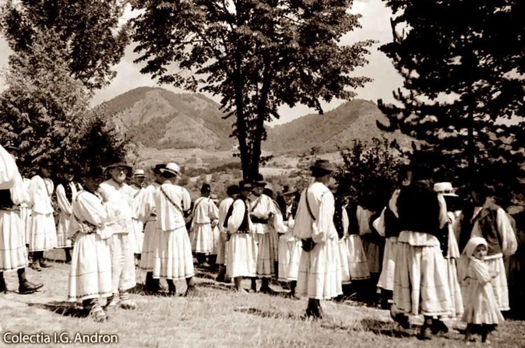 image-1775053843-9c2f170e