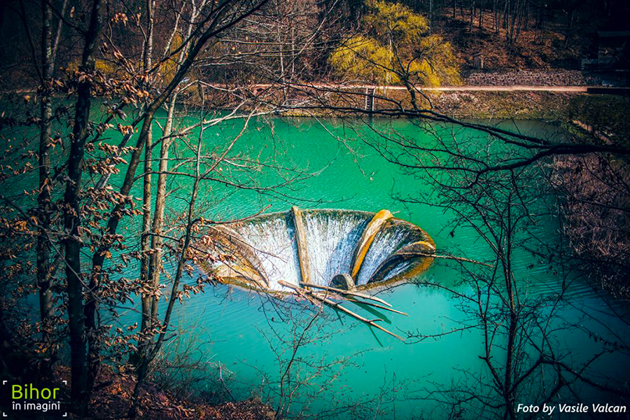 Lacul Vida Paradisul De Smarald Din Judeţul Bihor Gazeta De